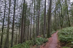 Scouters Mountain Regional Trail image