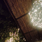 Photo n°1 de l'avis de Michela.a fait le 15/09/2023 à 19:45 sur le  Osteria della Pizza à Motta di Livenza