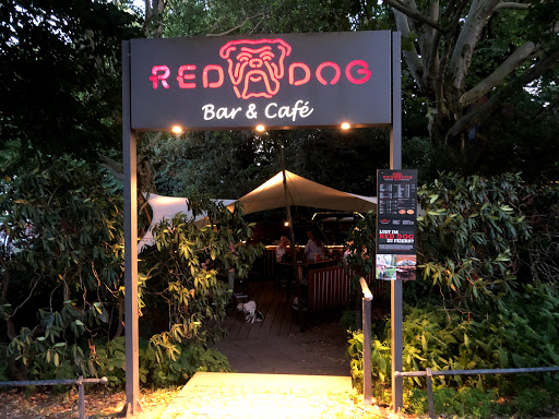 Red Dog Bar & Café