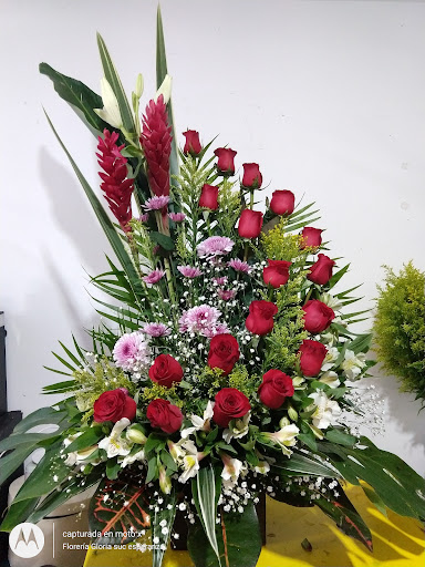 Florerías en Esperanza, Sonora: Entrega a Domicilio y Servicio 24 Horas