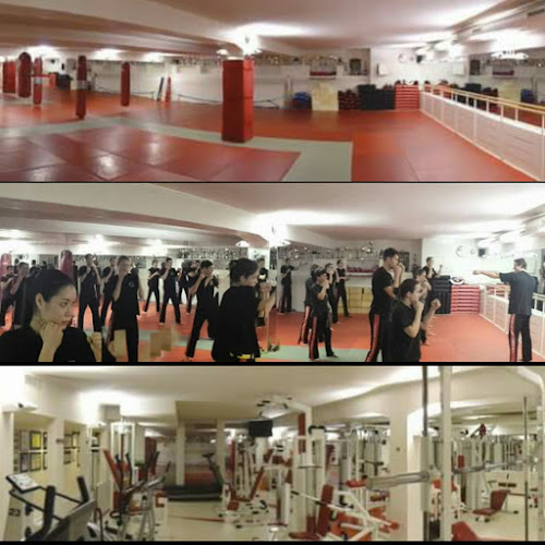 Rezensionen über MKC Kickboxing Academy GmbH in Zürich - Fitnessstudio