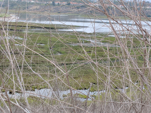 Nature Preserve «Newport Bay Conservancy», reviews and photos, 2301 University Dr, Newport Beach, CA 92660, USA