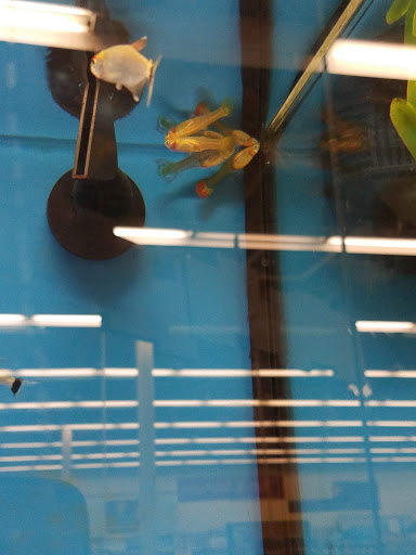 Pet Supply Store «Petco Animal Supplies», reviews and photos, 3637 2700 W, West Valley City, UT 84119, USA