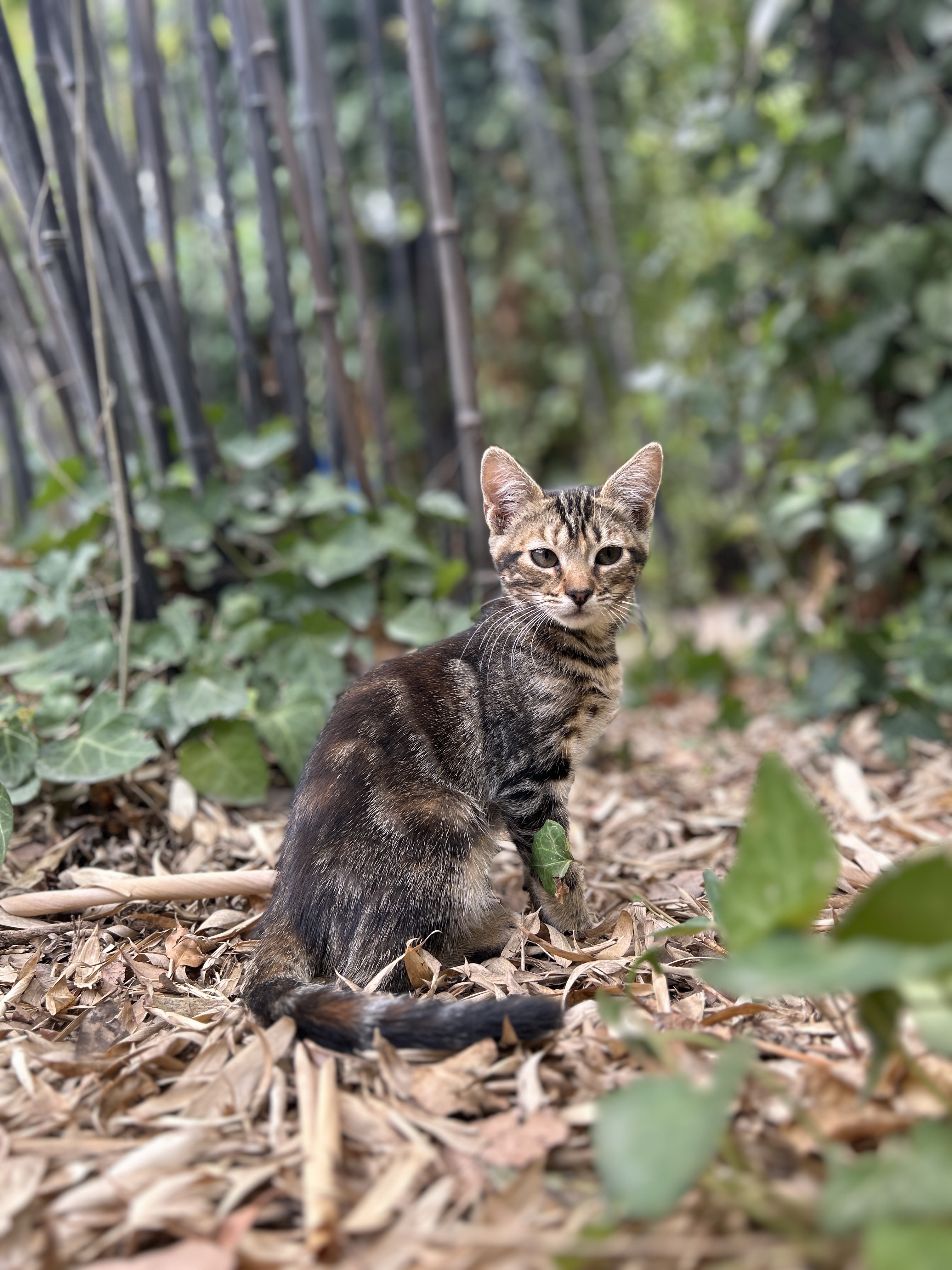 Photo n° 3 de l'avis de Sébastien.O fait le 31/07/2023 à 21:16
