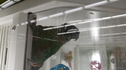 Pet Supply Store «Petco Animal Supplies», reviews and photos, 4665 Garth Rd #400, Baytown, TX 77521, USA