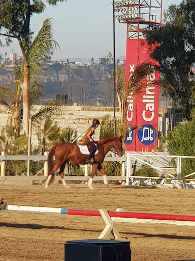 Clases montar a caballo Tijuana