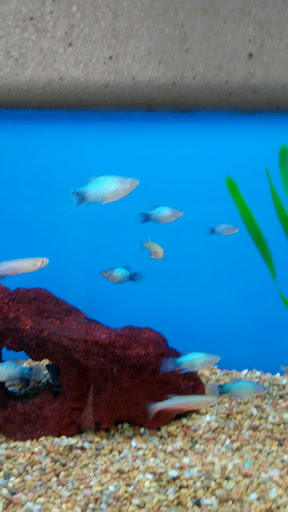 Pet Supply Store «Petco Animal Supplies», reviews and photos, 12551 Jefferson Ave #119, Newport News, VA 23602, USA