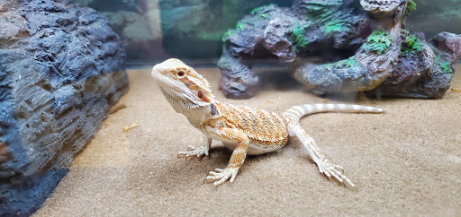 Pet Supply Store «Petco Animal Supplies», reviews and photos, 450 N Rte 17, Paramus, NJ 07652, USA