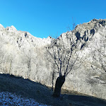 Photo n°3 de l'avis de Rossella.a fait le 13/01/2022 à 14:59 sur le  Osteria delle Alpi à Molino di Forzo