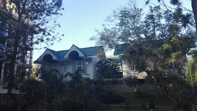 Photos of Pine Hill Resort