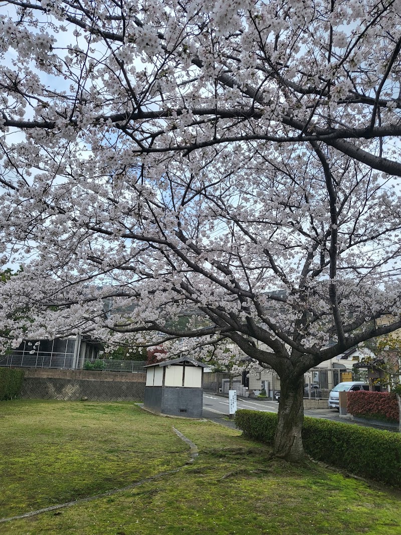 みどり公園