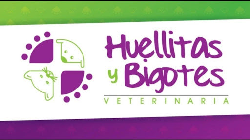 Veterinaria Huellitas y Bigotes