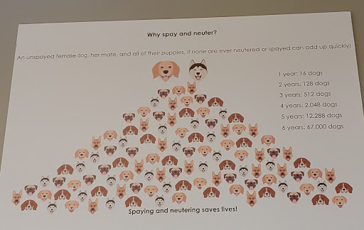 Animal Shelter «BrightSide Animal Center (formerly Humane Society of Redmond)», reviews and photos