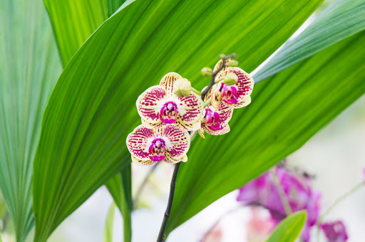 Nature Preserve «Duke Farms», reviews and photos, 1112 Dukes Pkwy W, Hillsborough Township, NJ 08844, USA