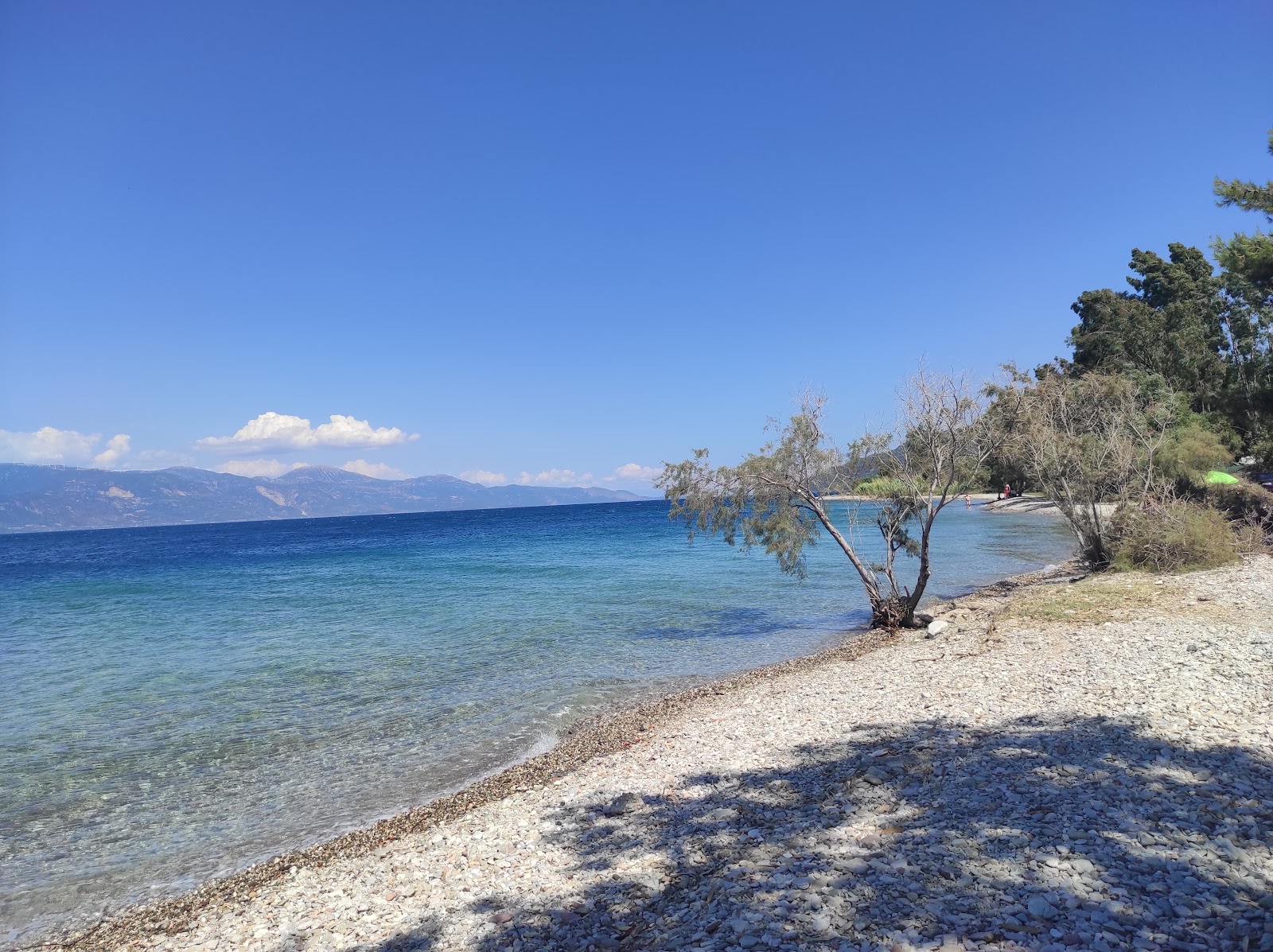 Drepano beach'in fotoğrafı çok temiz temizlik seviyesi ile