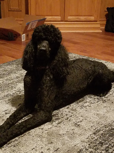 404 E 56th St, Kearney, NE 68847, USA