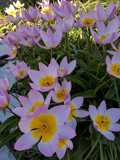 Golf Course «Interbay Golf Center», reviews and photos, 2501 15th Ave W, Seattle, WA 98119, USA