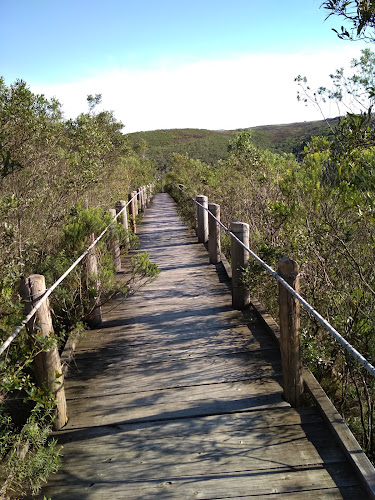 Comentarios y opiniones de Parque Municipal Quebrada de los Cuervos