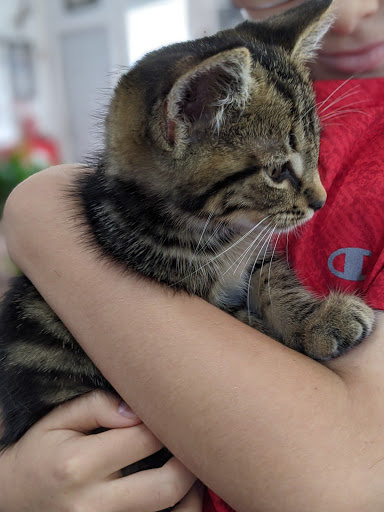 Barber Shop «The Little White House Barber Shop», reviews and photos, 11907 Fort King Hwy, Thonotosassa, FL 33592, USA