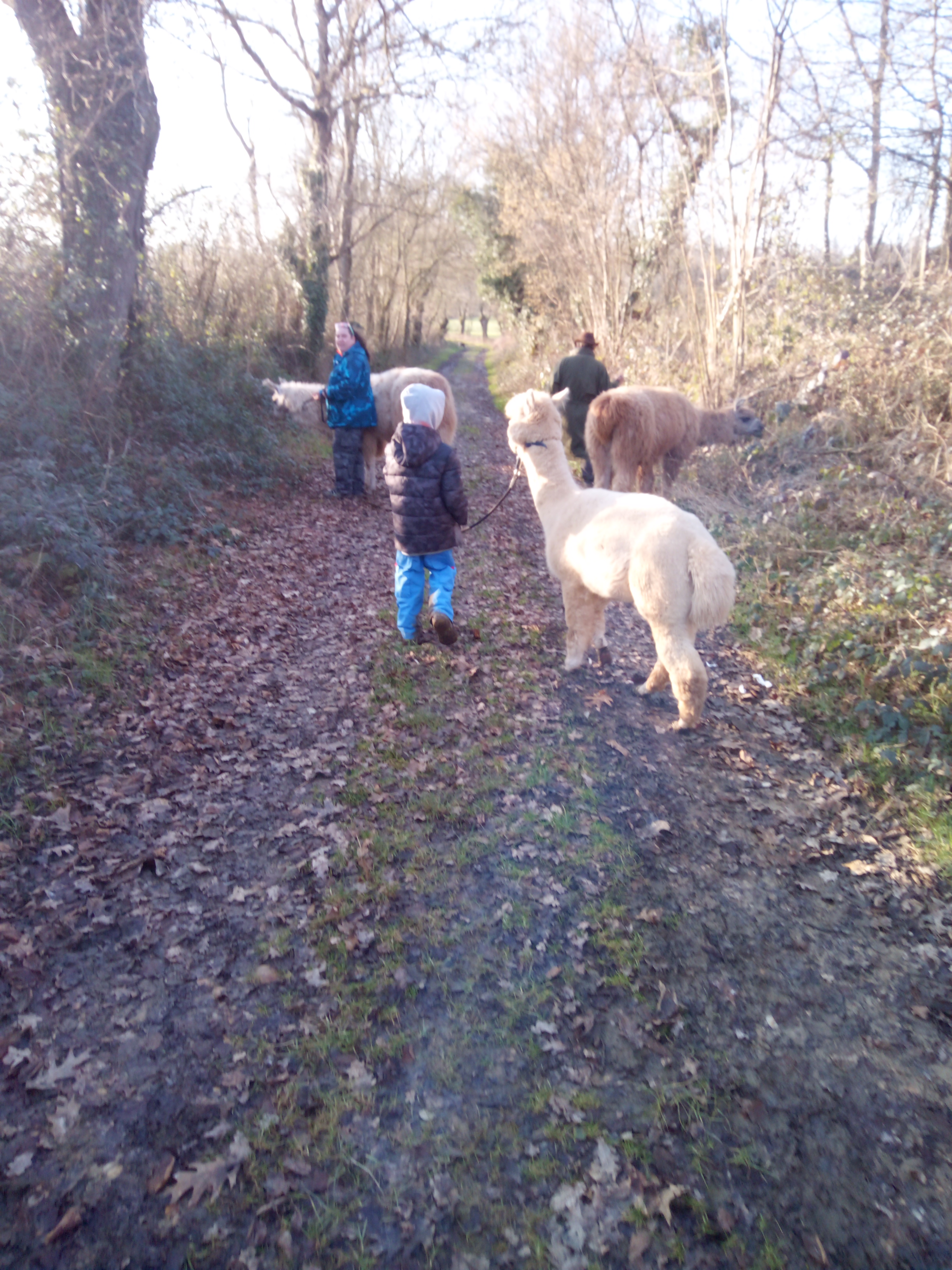 Photo n° 4 de l'avis de virginie.u fait le 22/01/2022 à 17:29