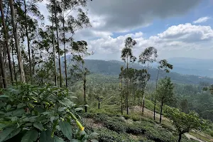 Balangoda Viewpoint image