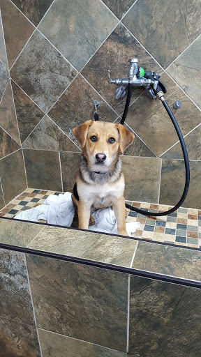 Pet Store «Pet Valu», reviews and photos, 95 Linwood Ave, Colchester, CT 06415, USA