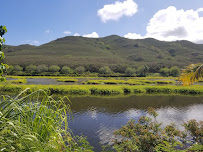 !i Tint - Photo 9 - Car repair in Kailua, HI, Kailua