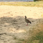 Photo n°14 de l'avis de HTF-GER. fait le 11/07/2019 à 06:00 sur le  Seezeitlodge Hotel & Spa à Nohfelden