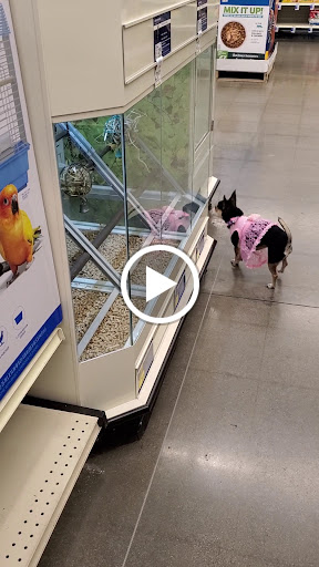 Pet Supply Store «PetSmart», reviews and photos, 13764 W Bell Rd, Surprise, AZ 85374, USA