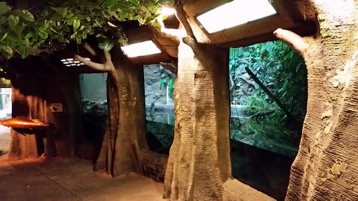 Zoo «Mesker Park Zoo», reviews and photos, 1545 Mesker Park Dr, Evansville, IN 47720, USA