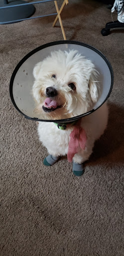 Pet Supply Store «Petco Animal Supplies», reviews and photos, 5850 Sepulveda Blvd, Van Nuys, CA 91411, USA