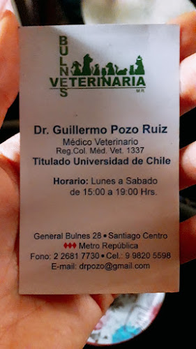 Clínica Veterinaria Bulnes - Metropolitana de Santiago