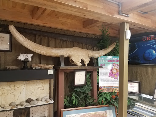 Museum «Creation Evidence Museum», reviews and photos, 3102 FM 205, Glen Rose, TX 76043, USA