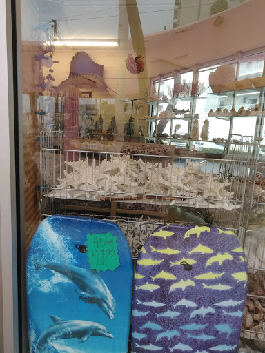 Gift Shop «Big Shark», reviews and photos, 2715 N Atlantic Ave, Daytona Beach, FL 32118, USA