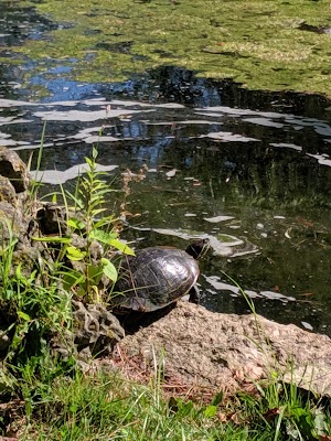 Keay Nature Learning Center - photo 4