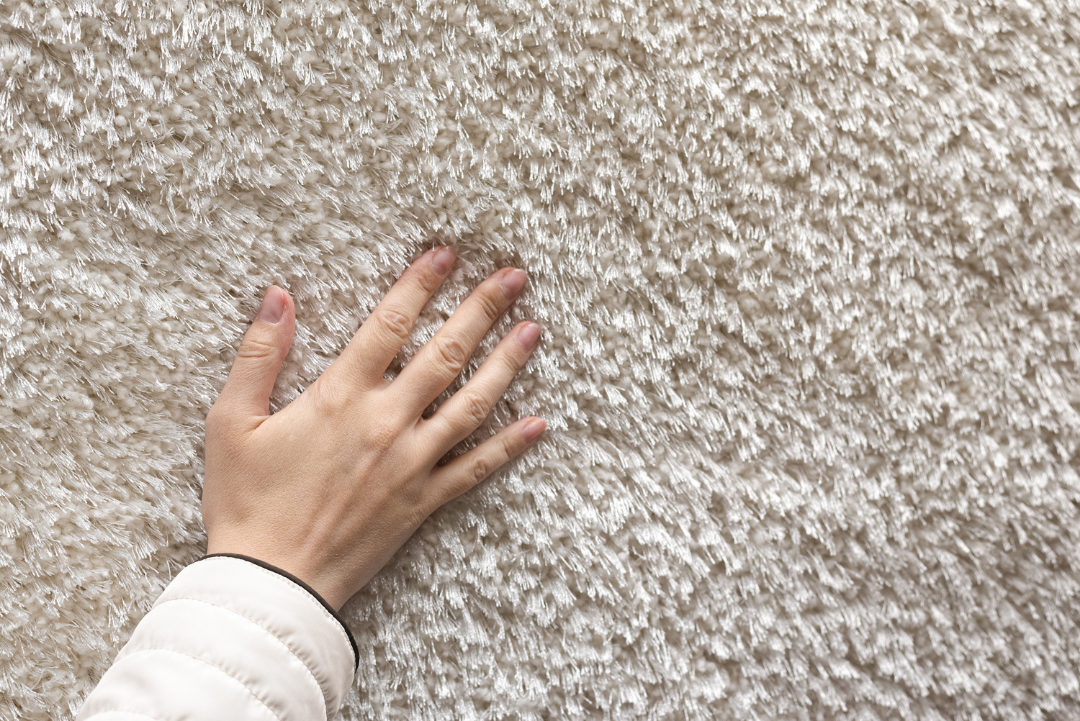 Bloughs Carpet Cleaning and Restoration