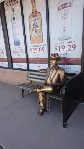 Liquor Store «Wine Chateau», reviews and photos, 1021 St George Ave #1, Colonia, NJ 07067, USA