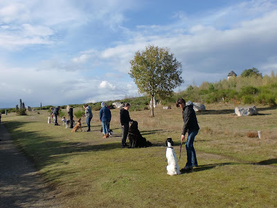 Cani’Skol Education, Pension & Loisirs Canins à Val d'Anast