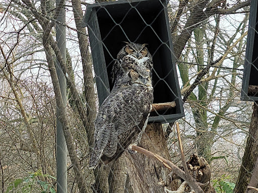 Zoo «Queens Zoo», reviews and photos, 53-51 111th St, Corona, NY 11368, USA