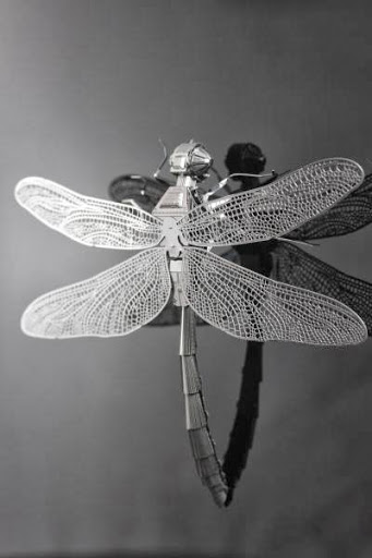 Novelty Store «Sausalito Ferry Co. Novelty Toy and Gift Store», reviews and photos, 688 Bridgeway, Sausalito, CA 94965, USA