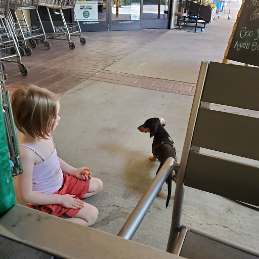 Grocery Store «Holiday Market», reviews and photos, 16981 Placer Hills Rd # A8, Meadow Vista, CA 95722, USA