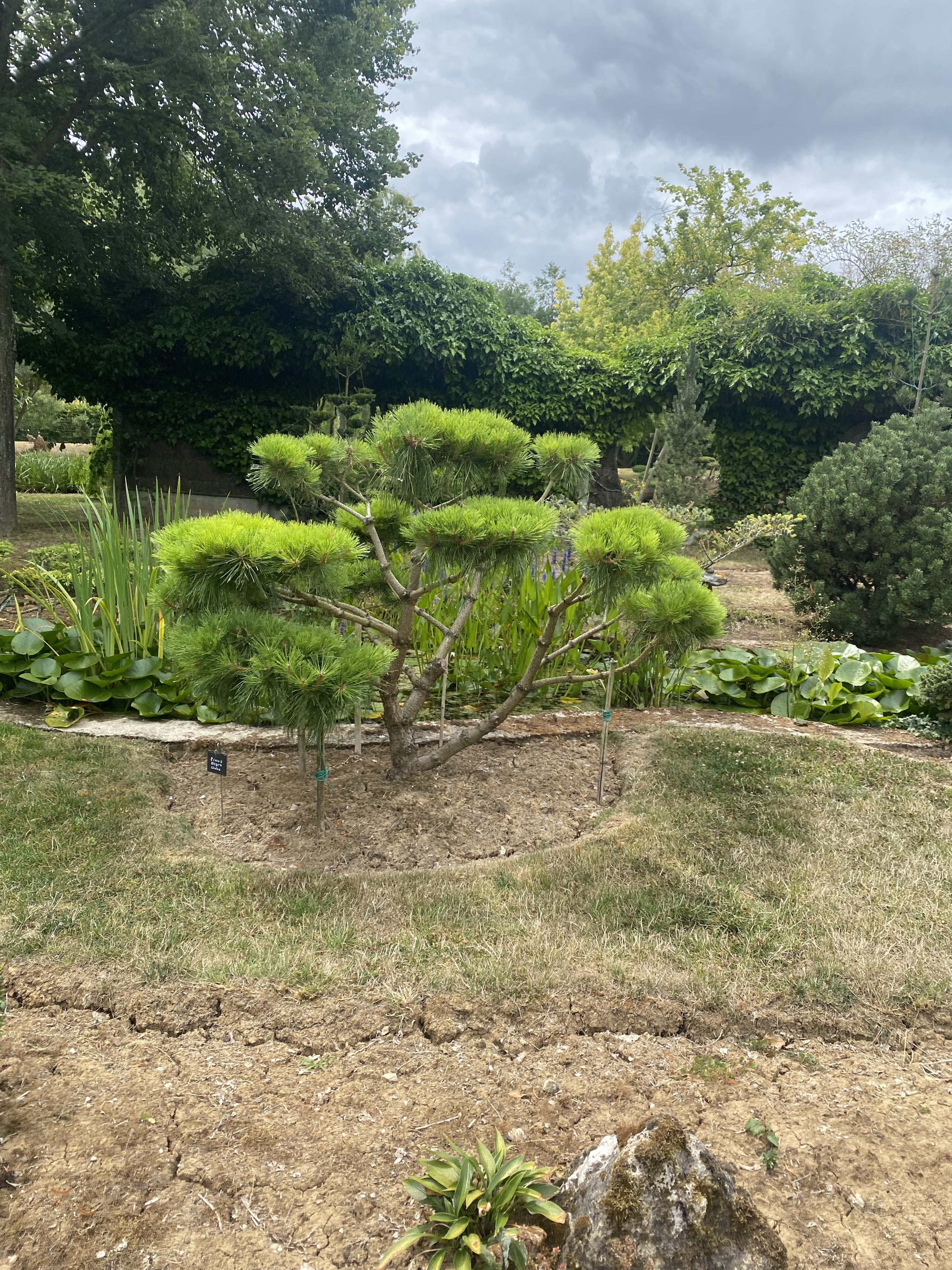 Photo n° 13 de l'avis de Sabrina.a fait le 22/07/2023 à 17:11