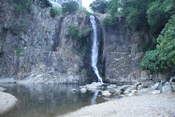 Photo de Waterfall bay avec #42