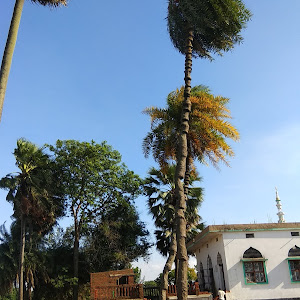 अबुल कलाम (बथान) photo