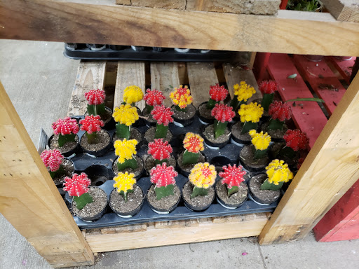 Home Improvement Store «The Home Depot», reviews and photos, 3500 N Kimball Ave, Chicago, IL 60618, USA