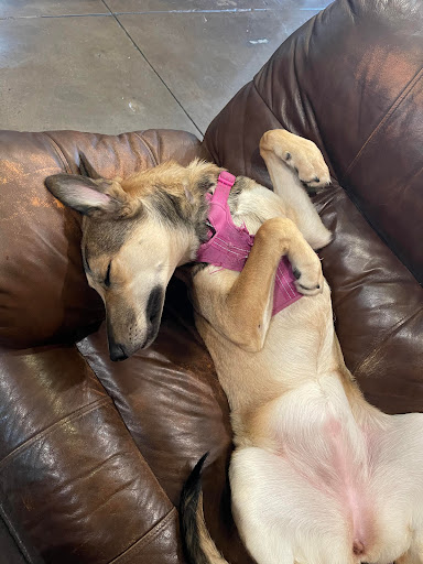 Vaporizer Store «Burnin Earth Smoke Shop», reviews and photos, 103 W Foothill Blvd, Monrovia, CA 91016, USA