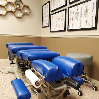 Paradigm Natural Medicine Chiropractic and Car Injury Clinic - Chiropractor in St. Augustine Florida