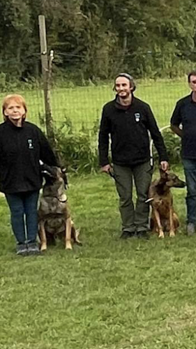 Reacties en beoordelingen van K-Team Rescue Dog Belgium Asbl Asbl