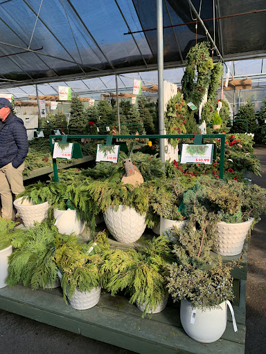 Garden Center «Pike Nurseries», reviews and photos, 615 W Crossville Rd, Roswell, GA 30075, USA