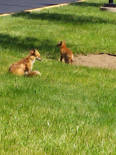 Performing Arts Theater «Stranahan Theater & Great Hall», reviews and photos, 4645 Heatherdowns Blvd, Toledo, OH 43614, USA